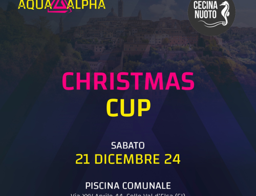 Christmas Cup Siena